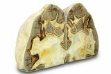 Beautiful Septarian Geode Bookends - Utah #288949-1